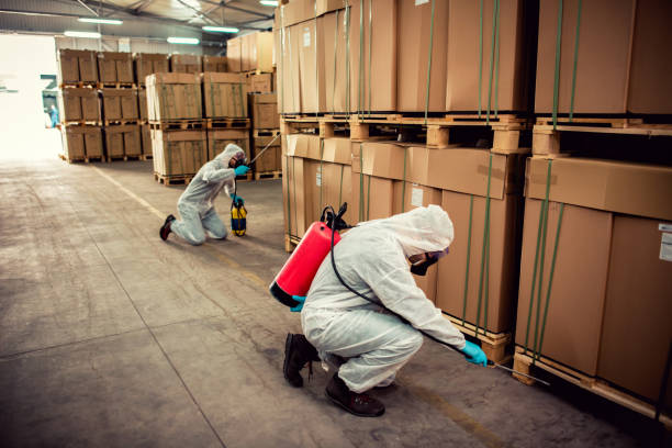 Best Affordable Pest Control Services  in Lincoln, AR