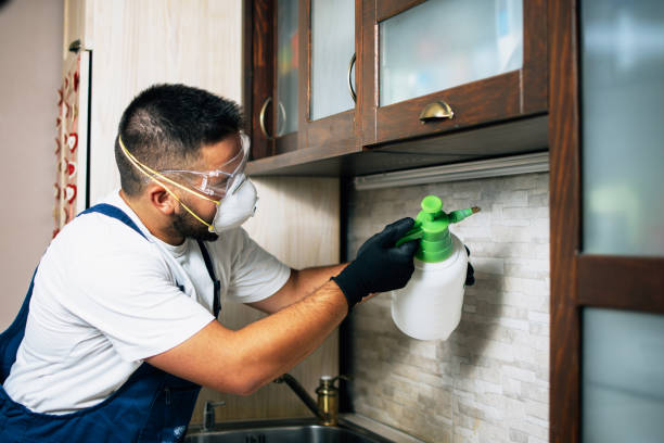 Reliable Lincoln, AR Pest Control Solutions