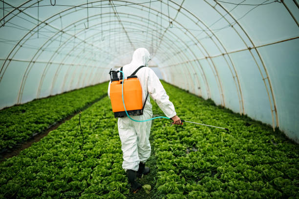 Best Pest Control Near Me  in Lincoln, AR