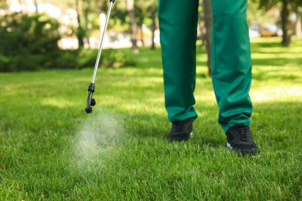 Best Termite Control Services  in Lincoln, AR