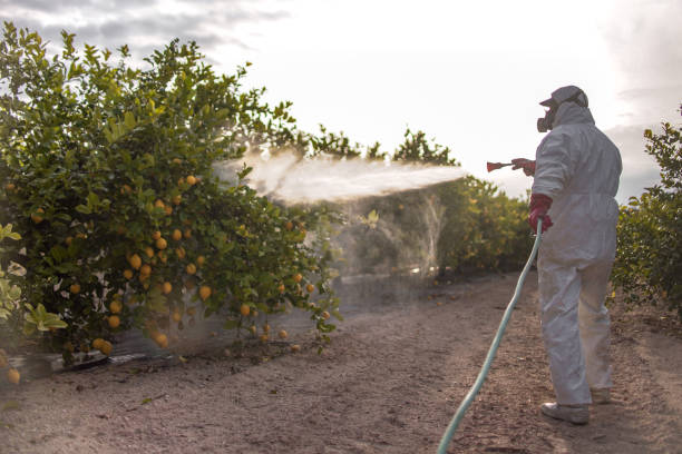 Best Commercial Pest Control Services  in Lincoln, AR