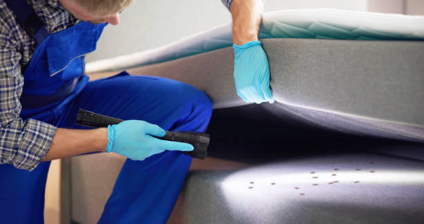 Best Insect Control  in Lincoln, AR