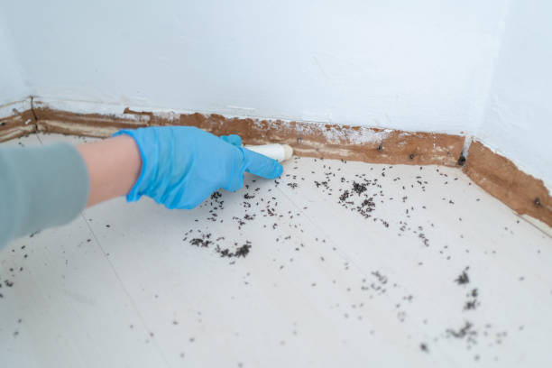 Professional Pest Control in Lincoln, AR