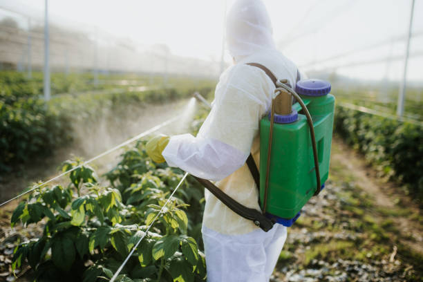 Best Local Pest Control Services  in Lincoln, AR